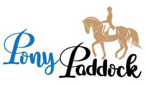 Pony Paddock Summer Camp