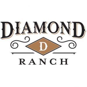 Diamond D Ranch Horse Summer Camp