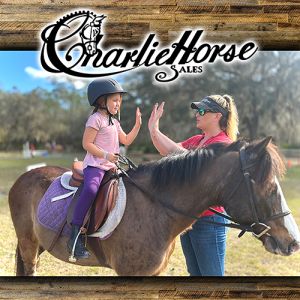 CharlieHorse Sales - Riding Lessons and Horse Camps