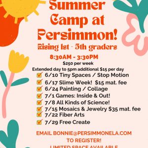 Persimmon Early Learning Academy Summer Art Camps