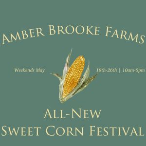 Amber Brooke Farms (formerly Red White and Blues Farm) Sweet Corn Festival