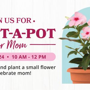 Rural King Supply Plant A Pot For Mom