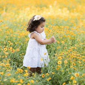 Sweet Serendipity Photography Wildflower Mini Sessions