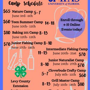 UF IFAS Extension Levy County 4-H Summer Day Camps