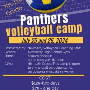 Panthers Volleyball Camp