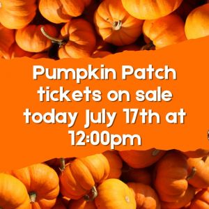 Florida Railroad Museum Pumpkin Patch Express