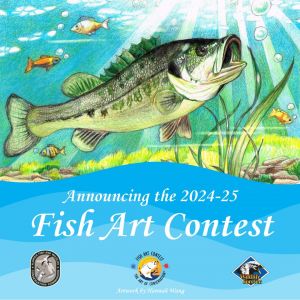 Florida Fish Art Contest