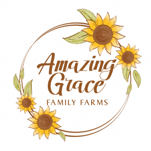 Amazing Grace Family Farms Fall Festival