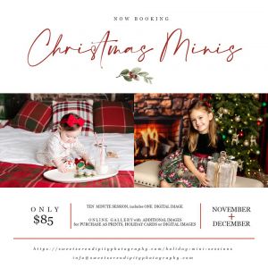 Sweet Serendipity Photography Holiday Mini Sessions