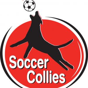 Soccer Collies