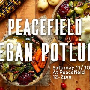 Peacefield Post Thanksgiving Turkey Free Feast