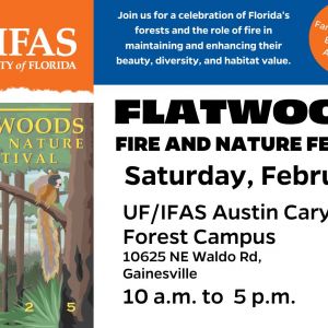 UF/IFAS Flatwoods Fire & Nature Festival