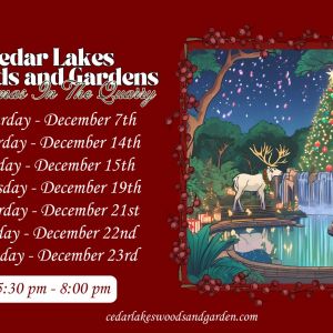 Cedar Lakes Woods and Gardens: Christmas in the Quarry