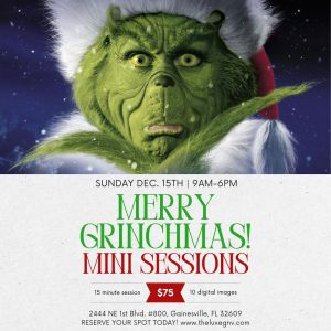 Luxe Creative Space: Merry Grinchmas Mini Photo Sessions