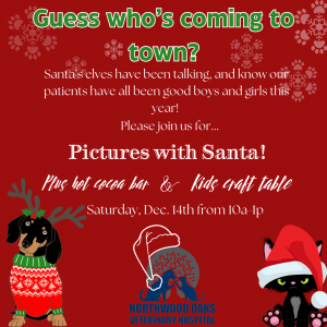 Northwood Oaks Veterinary Hospital Pictures with Santa (Pets and Kids)