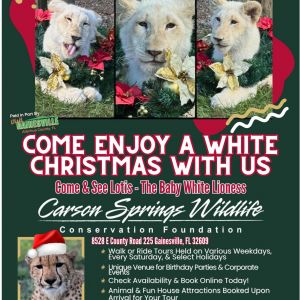 Carson Springs Wildlife Christmas Walk or Ride Tour