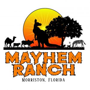 Mayhem Ranch Winter Festival