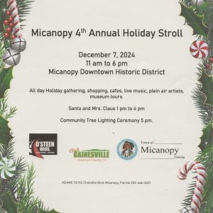 Micanopy Holiday Stroll with Tree Lighting