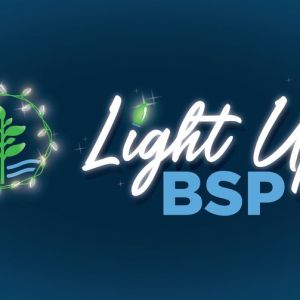 Bonnet Springs Park: Light Up BSP