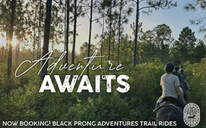 Black Prong Adventures Horseback Trail Riding