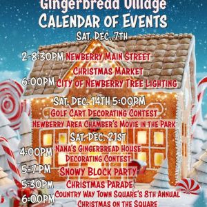 Newberry Nana's Gingerbread Decorating Contest & Snowy Block Party