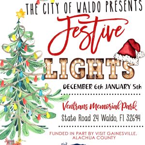 City of Waldo presents Festive Lights