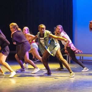 Florida Invitational Step Show