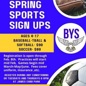 Bronson Youth Sports Spring Registration