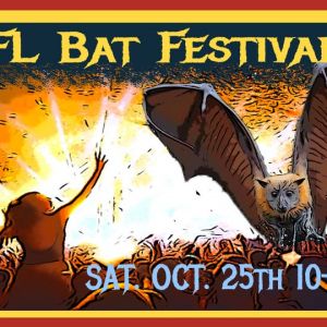 Lubee Bat Conservancy Florida Bat Festival
