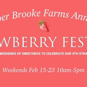 Amber Brooke Farms Strawberry Festival