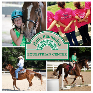 Haile Equestrian Center Horseback Riding Summer Camp