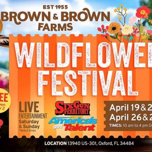 Brown & Brown Farms Wildflower Festival