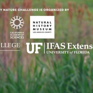 City Nature Challenge: Alachua County