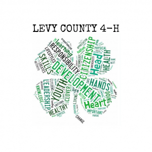 UF IFAS Extension Levy County 4-H Summer Day Camps