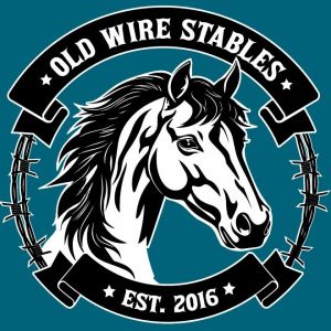 Old Wire Stables Summer Horse Camp