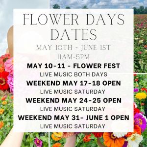 Branford Farm Stand Flower U-Pick