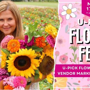 Branford Farm Stand U-Pick Flower Fest