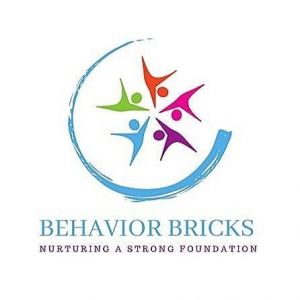 Behavior Bricks Camp Shine
