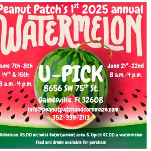 Peanut Patch & CornMaze Watermelon U-Pick