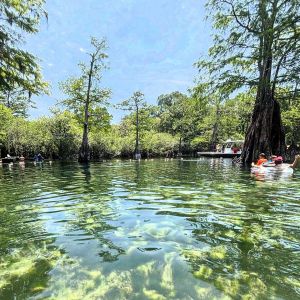 Rock Bluff Springs
