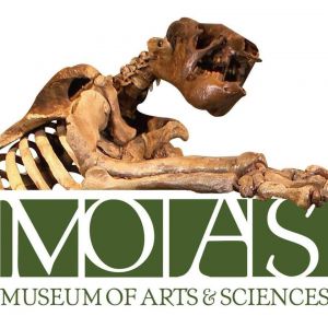 Daytona - MOAS (Museum of Arts and Sciences) Childrens Museum