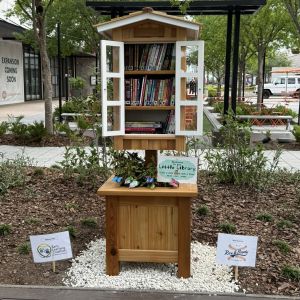 Celebration Pointe Little Library