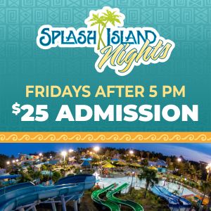 Wild Adventures Theme Park Splash Island Nights Deal