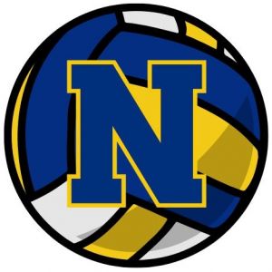 Newberry Panthers Volleyball Camps