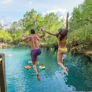 Royal Springs