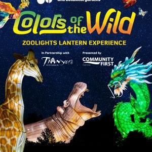 Jacksonville Zoo and Botanical Gardens Colors of the Wild