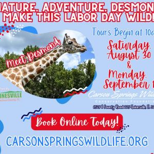 Carson Springs Wildlife Labor Day Weekend