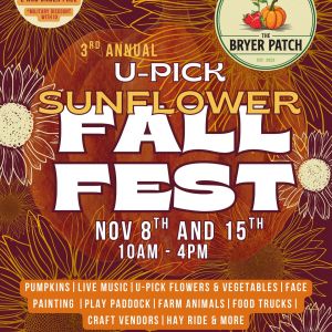 Bryer Patch Sunflower Festival