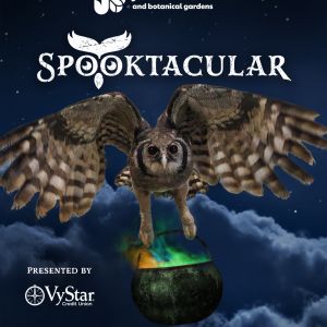 Jacksonville Zoo and Botanical Gardens Spooktacular