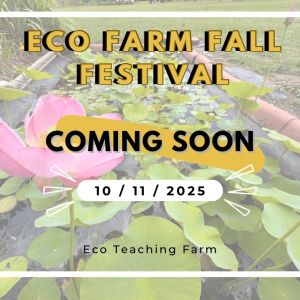 Eco Teaching Farm Fall Festival